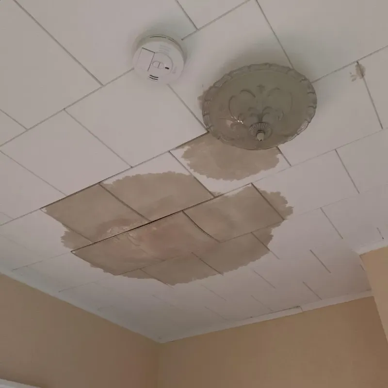 Ceiling Water Damage Repair in Saybrook Manor, CT