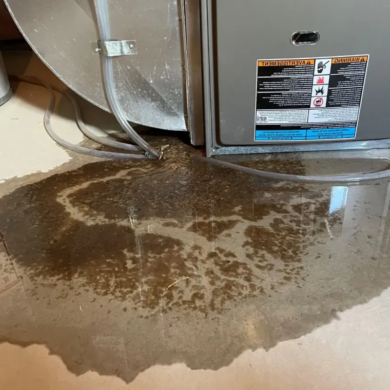 Pipe Burst and Leak Restoration in Saybrook Manor, CT